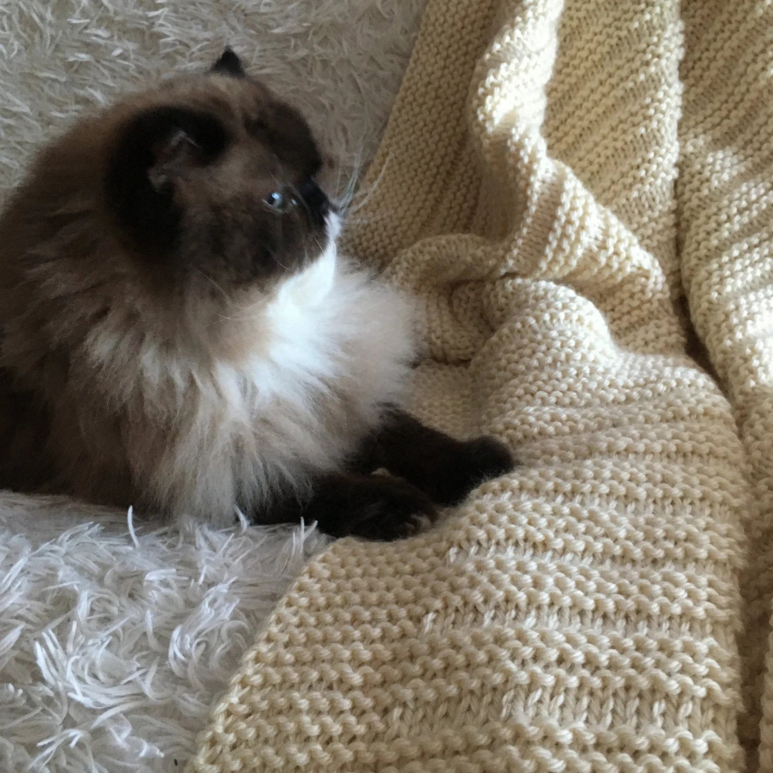 Cozy Throw Blanket - Knitting Pattern -(Multiple Sizes).